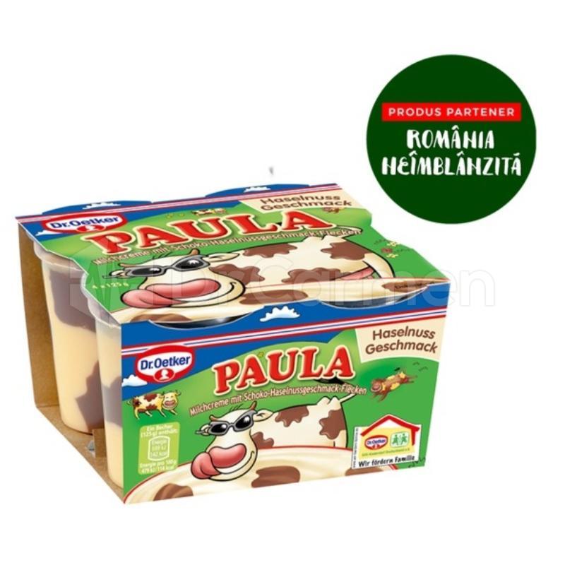 Paula Pudding Cu Vanilie Si Ciocolata Dr Oetker 4x125g